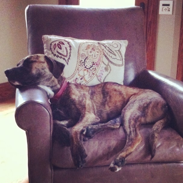 Zoe- chair vintage-twisted