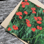 Screen Shot 2018-01-08 at 4.46.17&nbsp;PM